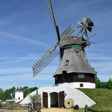 Moderne In Der Heide * Winsen